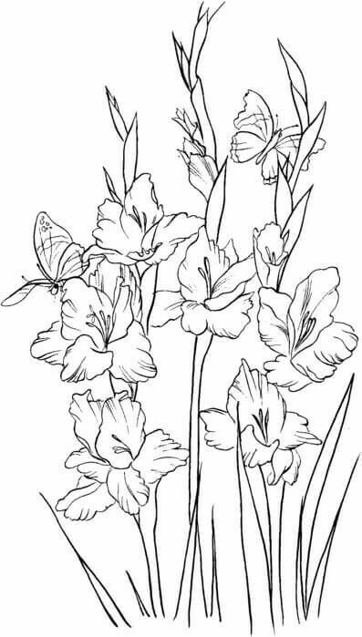 Gladioli Drawing, Tattoo Coloring Book, Gladiolus Flower, Gladioli, Watercolor Lessons, Flower Sketches, Trendy Flowers, Flower Background Wallpaper, Yellow Art