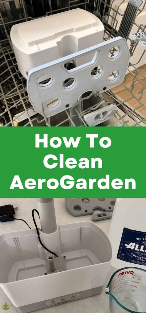 Aerogarden Hack, Aerogarden Ideas, Landscape Ideas Architecture, Ideas Around Trees, Aero Garden, Small Backyard Landscape, Backyard Landscape Ideas, Outdoor Garden Bed, Hydro Gardening