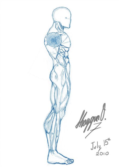 Male Anatomy Template: Side by Shintenzu Anatomy Template, Drawing Male Anatomy, How To Draw Muscles, Drawing Poses Male, Male Body Drawing, Male Anatomy, Man Anatomy, Profile Drawing, Anatomy Tutorial