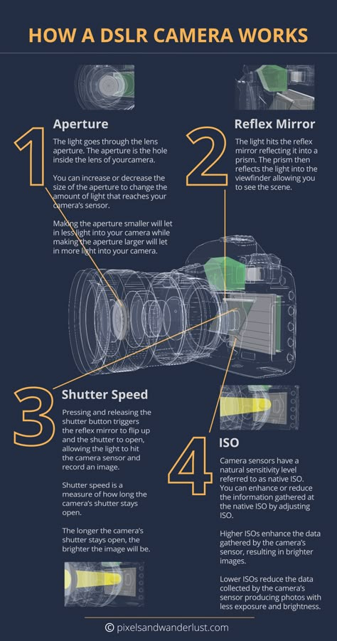 How To Learn Photography, Manual Mode Photography, Beginner Photography Camera, Digital Photography Lessons, Dslr Photography Tips, Photography Settings, Learn Photography, Photography Cheat Sheets, Manual Mode