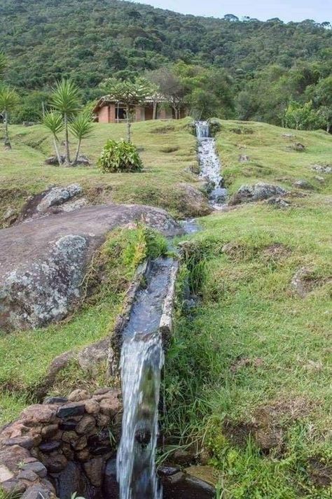 Photography Ideas Nature, Nature Photography Ideas, Hobbit Garden, Hillside Farms, Taman Air, Water Irrigation, Nature Photography Tips, Backyard Water Feature, Water Features In The Garden