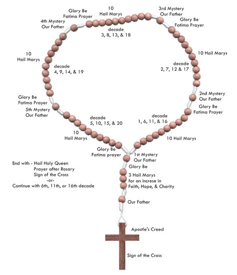 How to say the rosary Fatima Prayer, Saying The Rosary, Daughter Of The Most High, Time Journal, Rosary Boxes, The Most High God, Most High God, Prayer Time, African Dresses Modern