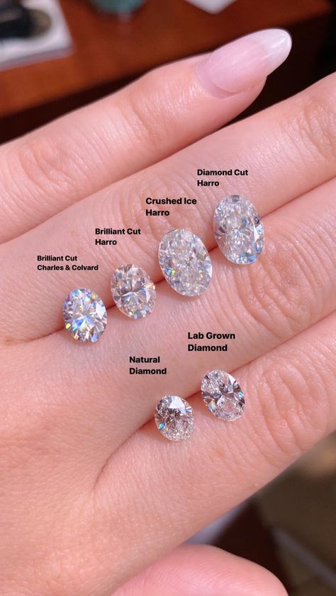 Oval Moissanite Brands versus Lab and Natural Diamonds – Princess Bride Diamonds Tiffany Diamond Ring, Oval Cut Diamond Rings, Rings Oval, Moissanite Vs Diamond, Oval Moissanite Ring, Charles And Colvard Moissanite, Future Engagement Rings, Oval Diamond Ring, Jewelry Education