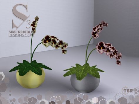 Sims 4 Hydrangea, Ts4 Plants Cc, Sims 4 Orchid Cc, Sims 4 Flower Arrangement Cc, Plantsim Sims 4, Cafe Creme, Sims Community, Electronic Art, Free Games