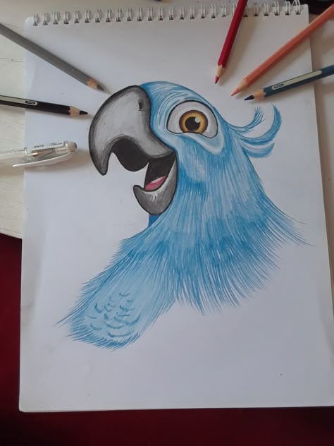 Cartoon Drawing of Rio Rio Sketch, Rio Drawing, Drawing Cartoon Characters, Cartoon Drawing, Art Prompts, Animal Sketches, Drawing Board, Bird Drawings, Dog Drawing