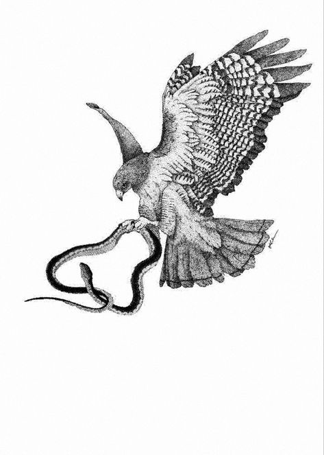 Greek Mythology Eagle Tattoo, Falcon And Snake Tattoo, Eagle Snake Tattoo Design, Bird Of Prey Tattoo Men, Swooping Bird Tattoo, Bird With Snake Tattoo, Eagle Catching Snake Tattoo, Hawk And Snake Tattoo, Eagle Eating Snake Tattoo