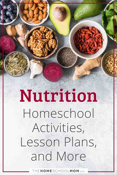 Kindergarten Nutrition Lessons, Homeschool Culinary Arts, Homeschool Nutrition Unit, Middle School Nutrition Lessons, Homeschool Nutrition Curriculum, Homeschool Cooking Curriculum For Kids, Homeschool Health Curriculum Free, Nutrition Unit Study, Nutrition Classes Lesson Plans