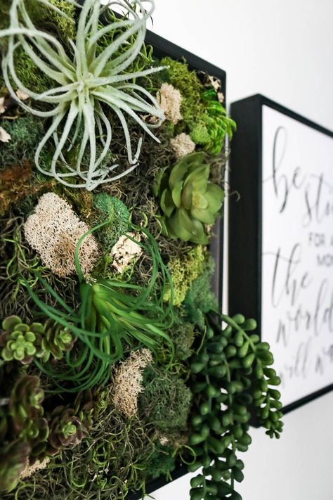 If you're looking for unique wall decor that you can make yourself, you're going to love this DIY faux succulent garden with fake succulents, air plants and preserved moss made with a shadowbox. #fakesucculents #succulents #fauxsucculents #walldecor Fake Succulent Wall, Diy Succulent Wall, Wall Decorations Ideas, Succulent Wall Decor, Succulent Projects, Succulent Wall Hanging, Diy Succulent Terrarium, Succulent Wall Art, Fake Plants Decor