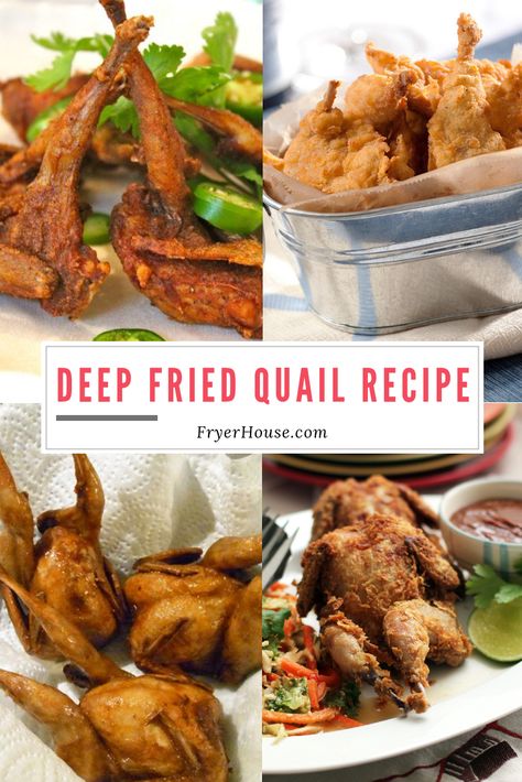 Another Southern Deep-Fried Classic - Want to try your hand on cooking some quail? Here’s an easy recipe that might endear this little game bird to your household. Cooking Quail Meat, How To Cook Quail, Bbq Quail Recipes, Cooking Quail, Grilled Quail Recipes, Fried Quail Recipes, Deep Fried Chicken Wings, Quail Recipes, Cornish Game Hens