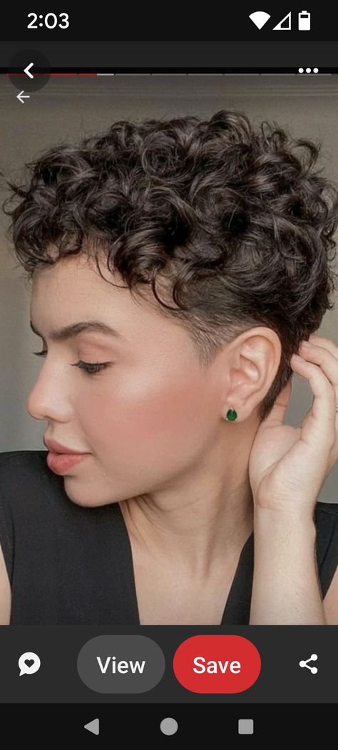 Undercut With Highlights, Undercut Pixie Haircut Curly, Curly Pixie With Shaved Sides, Curly Pixy Haircut, Curly Pixie Shaved Sides, Natural Curls Short Hair, Short Curly Undercut Women, Very Short Hair Curly, Super Short Curly Haircuts