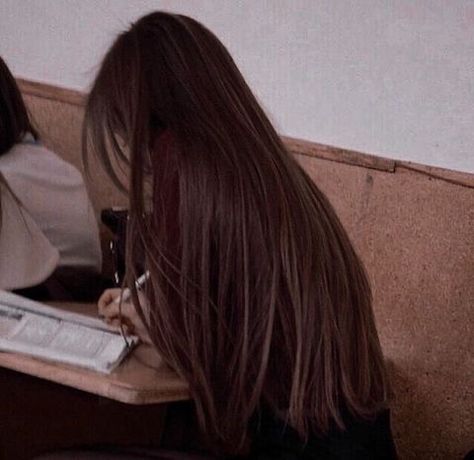 Brown Straight Hair, Girl With Brown Hair, Makijaż Smokey Eye, Romanticizing School, Long Brown Hair, Hair Inspo Color, Silky Hair, Dream Hair, Pretty Hair