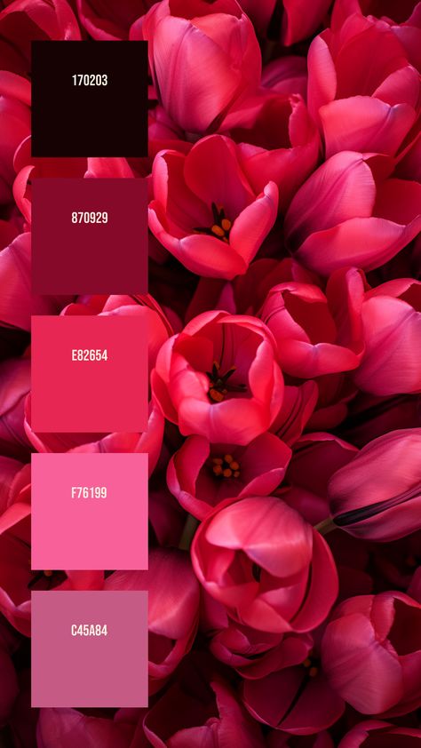 Colors:
170203
870929
E82654
F76199
C45A84 Deep Pink Color Palette, Bright Pink Colour Palette, Moody Spring Color Palette, Chanel Color Palette, Red Orange Palette, Bright Pink Color Palette, Petals Drawing, Color Palette Flowers, Pink Pallet