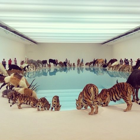 Cai Guo Qiang, Art Cube, Gallery Of Modern Art, Surreal Photos, California Design, Popular Art, Contemporary Artist, Vanuatu, Samoa