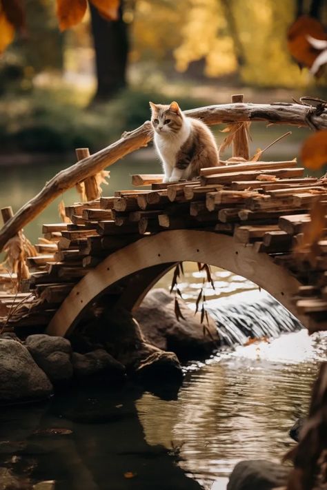 Build a purr-fect pathway for your feline friend with our DIY Cat Bridge guide! Create a custom space for your pet to explore! #diycatbridge #catbridge #diypetbridge #cat Cat Bridge, Funniest Cat, Funny Cat Photos, Cat Picture, Cat Photos, Diy Cat, Cat Diy, Diy Stuffed Animals, Cat Photo