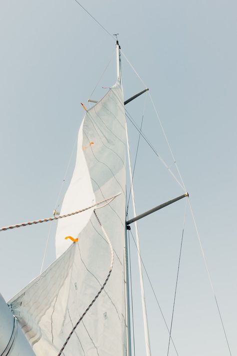 Open sail. Download this photo by MILKOVÍ on Unsplash Sailing Pictures, Wind Pictures, Sea Pictures, Focus Photography, Miramar Beach, Fabric Pictures, Free For Commercial Use, Set Sail, Download Free Images