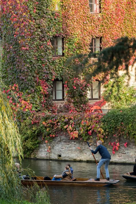 Cambridge Autumn, Cambridge University Aesthetic, Bath Uni, Cambridge Aesthetic, European Autumn, July Talk, British Autumn, Autumn Moodboard, Paris In Autumn