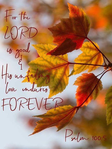 Thanksgiving Quotes Christian, Comfort Verses, Thanksgiving Scripture, Thanksgiving Bible Verses, Fall Bible Verses, Happy Thanksgiving Images, Scripture Wallpaper, Inspirational Quotes Encouragement, Thanksgiving Blessings