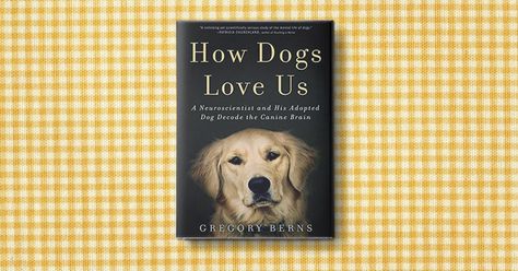 Three signs you're an unabashed dog lover: 1. You refer to your dog as 'your baby.' 2. You stop, coo and inquire, 'Is that a puppy? Can I pet her?' every time you see a new four-legged friend on the block. 3. You voted for the dog park over the children's park. OK, maybe not that last one, but if you're a self-identified dog lover, these eight books are must-reads. Gentle warning: A pack of tissues on hand is required. RELATED: What Your Favorite Dog Breed Says Abo... Dog Lover Quotes, Dog Movies, Historical Fiction Books, Dog Books, Dog Stories, Dogs Love, Baby 2, Animal Books, Dog Park