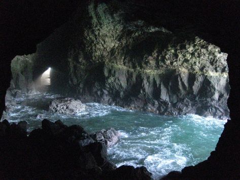 Oregon Coast Sea lion cave Ocean Connection, Cave Aesthetic, Ocean Cave, Magic Ocean, Dark Cave, Sea Cave, Cave System, Kelp Forest, Landscape Inspiration