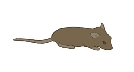 animated-mouse-gif.gif (430×233) Animal Walk Cycle, Mouse Animation, Run Animation, Running Cartoon, Cartoon Rat, Running Gif, Walk Cycle, Cute Mice, Cat And Mouse