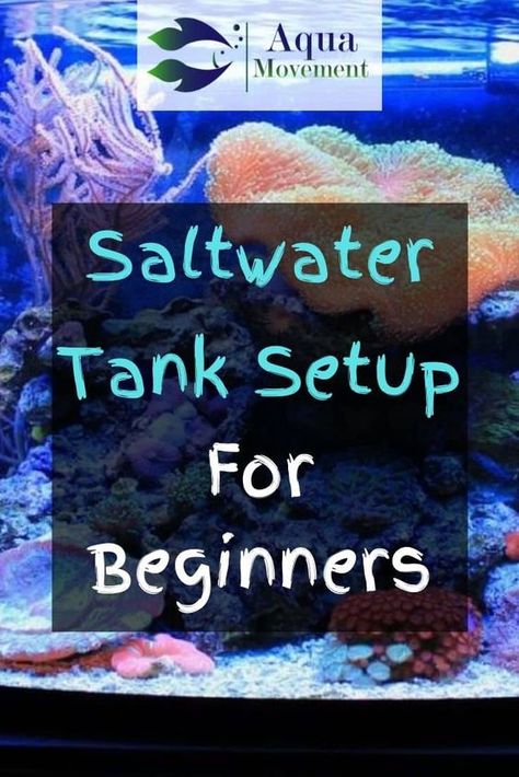 Small Salt Water Aquarium, Salt Water Tank Beginner, Small Saltwater Aquarium, Salt Water Tank Ideas, Salt Water Aquarium Ideas, Small Saltwater Tank, Saltwater Tank Setup, Saltwater Aquarium Beginner, Seahorse Aquarium