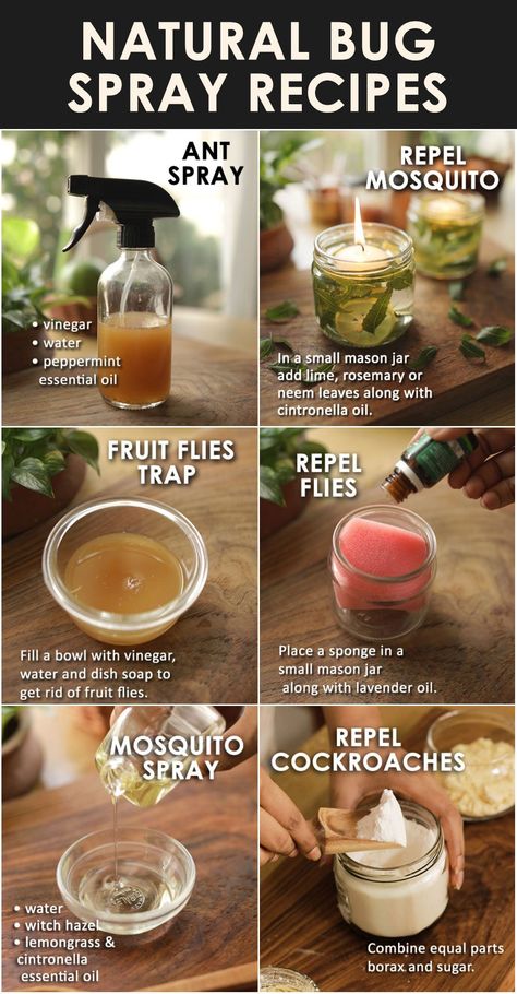 10 BEST delicious and healthy POPSICLE RECIPES - The Little Shine Natural Bug Spray Recipe, Diy Bug Repellent, Homemade Bug Spray, Bug Spray Recipe, Natural Bug Spray, Natural Bug Repellent, Natural Pesticides, Natural Mosquito Repellant, Natural Cleaning Recipes