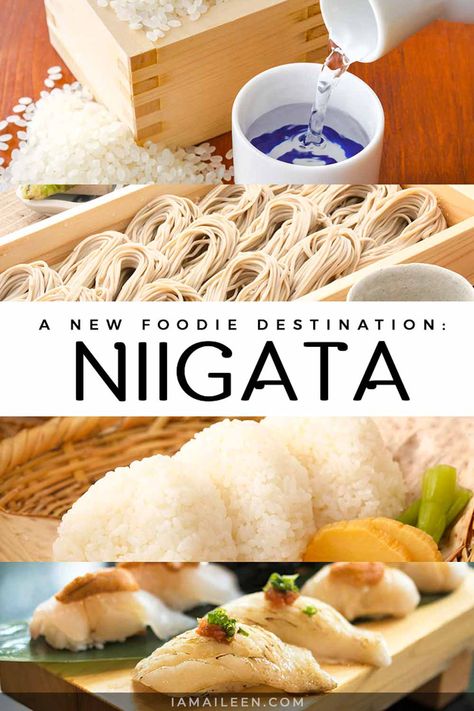 Niigata Food Guide Japan With Kids, Niigata, Food Experiences, Food Quality, Foodie Travel, Hidden Gem, Food Guide, Asia Travel, Travel Food