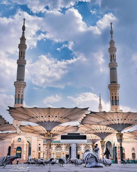 14.2k Likes, 96 Comments - ‎Makkah Madinah | مكة مدينة (@makkah__madinah) on Instagram: “• 🍀 Roll out the Green Carpet.. • Spend what you have in visiting his Masjid which he built with…” Masjid Nabawi, Makkah, Wallpaper Aesthetic, White