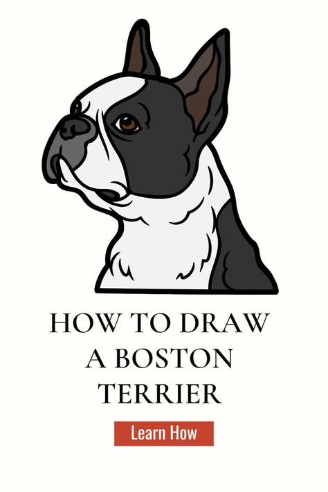 Boston Terrier Illustration Drawings, Draw Boston Terrier, How To Paint A Boston Terrier, How To Draw A Boston Terrier Easy, How To Draw Boston Terrier, Boston Terrier Painting Easy, Boston Terrier Drawing Easy, Boston Drawing, Boston Terrier Art Illustrations