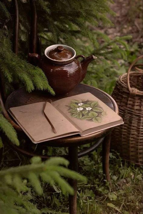 Sketchbook Ideas Doodles, Cottage Academia, Cottagecore Life, Green Academia, Cozy Tea, Cottage Aesthetic, Sketchbook Cover, Cottage In The Woods, Dark Cottagecore