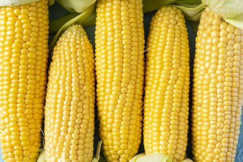 The Only Way You Should Store Corn, According to a Corn Farmer Freezing Fresh Corn, Field Corn, Storing Fruit, Freezing Food, Eat Your Vegetables, Fruit And Veggie, Vegetable And Fruit, Apple Fritters, Corn Recipes