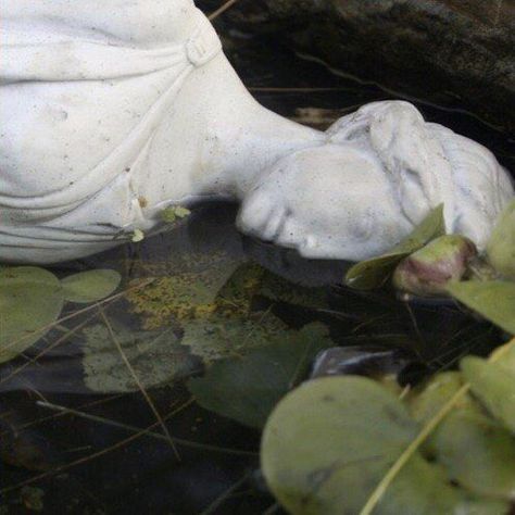 𝑳𝒖𝒏𝒆𝒕𝒕𝒂 on Twitter: "Forgotten by everyone except nature… " Statue, Lily, Water, Plants, White