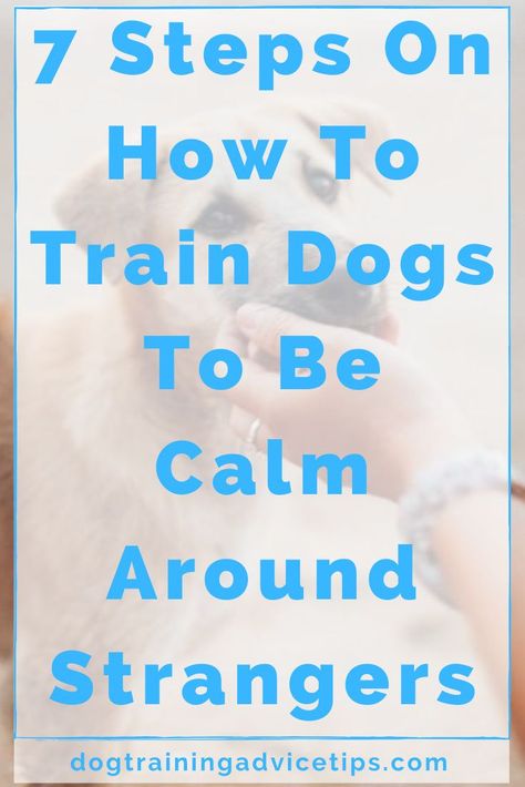 How To Train Dogs, Positive Reinforcement Dog Training, Dog Hand Signals, Train Dogs, Easiest Dogs To Train, Dog Behavior Problems, Basic Dog Training, Be Calm, Dog Training Advice