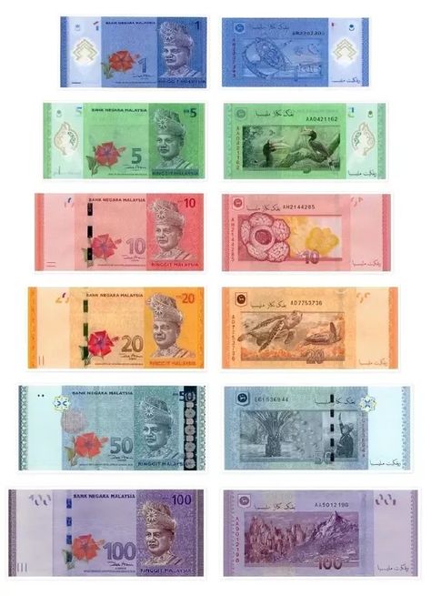 Not my pic Rm 100 Malaysia Money, Malaysia Money, Money Wallpaper Aesthetic, 5 Senses Craft, Money Math Worksheets, Banknotes Design, Kids Travel Activities, Banknotes Money, Money Wallpaper