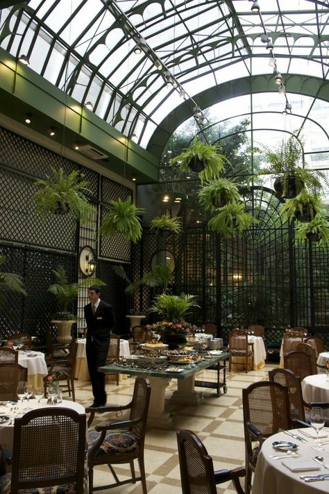 Conservatory Restaurant Interior, Conservatory Cafe, Orangery Restaurant, Glasshouse Restaurant, Conservatory Restaurant, Hotel Conservatory, Greenhouse Cafe, Modern Restaurant Design, Outdoor Restaurant Design