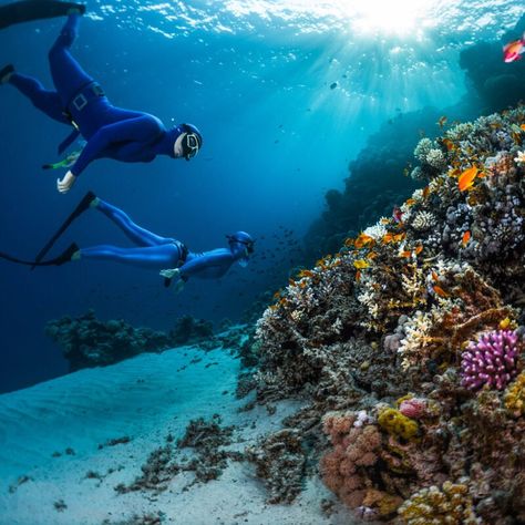 Underwater Ruins, Egypt Tourism, Red Sea Diving, Tourism Design, Places In Egypt, Egypt Aesthetic, Volunteer Travel, Cave Diving, Maui Vacation