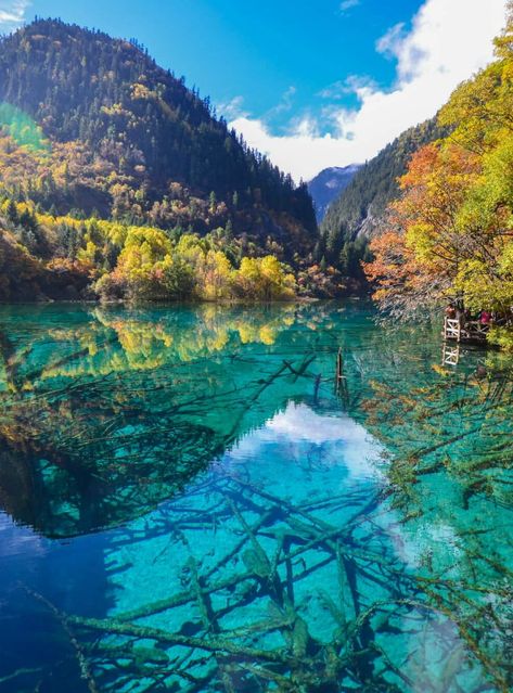 Juizhaiguo – Sichuan. #china #travel #nature Padi Diving, Sichuan China, Explore China, Travel China, Thailand Adventure, Diving Course, Thailand Backpacking, Visit China, Thailand Holiday