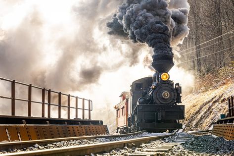 Winter Train, Monongahela National Forest, Green Bank, Scenic Railroads, Forest View, Train Ride, Dream Interpretation, Mountain Village, Train Rides