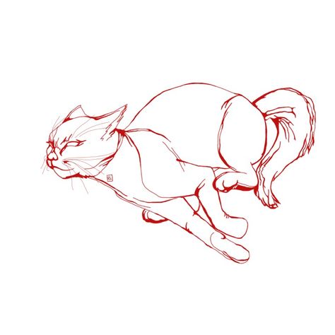 Cat is runing Cat Running Drawing Reference, Cat Anatomy Drawing Reference, Scared Cat Drawing Reference, Cat Pouncing Drawing, Stretching Cat Drawing, Cat Poses Art, Cat Swimming Drawing, Cat Body Reference, Cat Running Reference