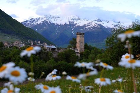 Svaneti Aesthetic, Mestia Svaneti, Mestia Georgia, Georgian Aesthetic, Svaneti Georgia, Georgia Country, Plan A Trip, Interactive Map, Summer 24