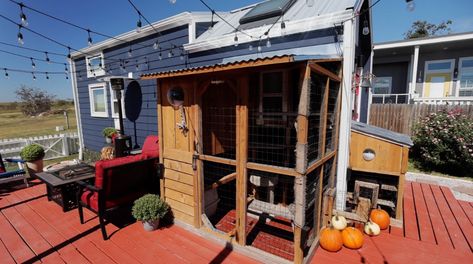 Couple’s Tiny House with FAB Catio_tiny house cats Tiny Home With Cats, Counter Height Desk, Tumbleweed Tiny Homes, Tiny House Company, Porthole Window, Tiny House Community, House Cats, Parking Spot, Big Kitchen