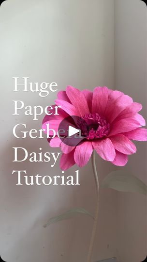 Daisy Crepe Paper Flowers, Huge Flowers, Pink Gerbera, Paper Daisy, Apartment Art, Color Spray, Crepe Paper Flowers, Giant Paper Flowers, Giant Flowers