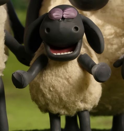 Timmy Sheep, Timmy Shaun The Sheep, Shaun The Sheep Timmy, Timmy The Sheep, Timmy Time, Aardman Animations, Cute Funny Pics, Shaun The Sheep, A Meme