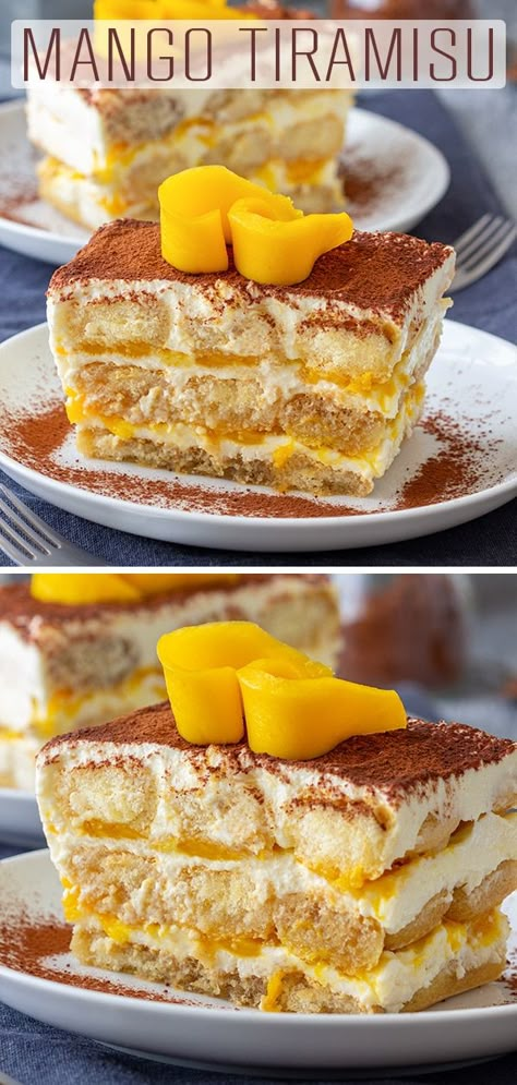 Mango tiramisu is a fruity version of the classic Italian dessert. Layers of ladyfingers, mascarpone mixture and mango sauce are finished off with cocoa and some fresh mango slices. #happyfoodstube #mango #tiramisu #dessert #cake #recipe #nobake #italianfood #italian #homemade Mango Passionfruit Tiramisu, No Bake Mango Dessert, Baking With Mango, Mango And Pineapple Recipes, Dessert Recipes Mango, Mango Dinner Recipes, Passionfruit Tiramisu, Fruity Tiramisu, Ladyfingers Recipe Desserts