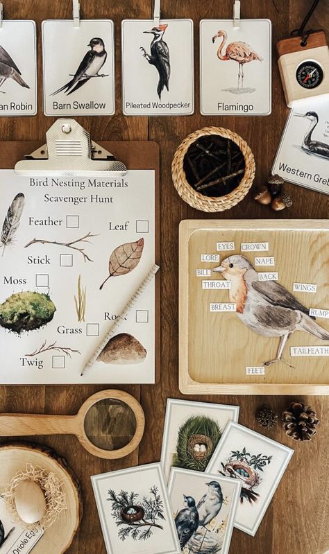 The For the Love of Homeschooling Nature Study Club {Try it FREE!} Pre K Nature Study, Nature Shelf Homeschool, Homeschool Nature Activities, Preschool Study Units, Nature Study For Preschoolers, Nature Homeschool Room, Nature School Aesthetic, Nature School Classroom, Christian Homeschool Aesthetic