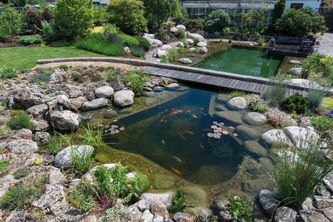 Recreational Pond, Pond Construction, Natural Swimming Ponds, Pond Maintenance, Swimming Pond, Pond Life, Natural Swimming Pools, Natural Swimming Pool, Surface Water