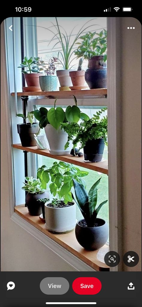 Window Plant Shelves Diy, Kitchen Window Plant Shelf, Window Sill Plant Shelf, Kitchen Window Plants, Window Plant Shelves, Living Room With Plants, Window Shelves For Plants, Window Sill Plants, Shelves For Plants