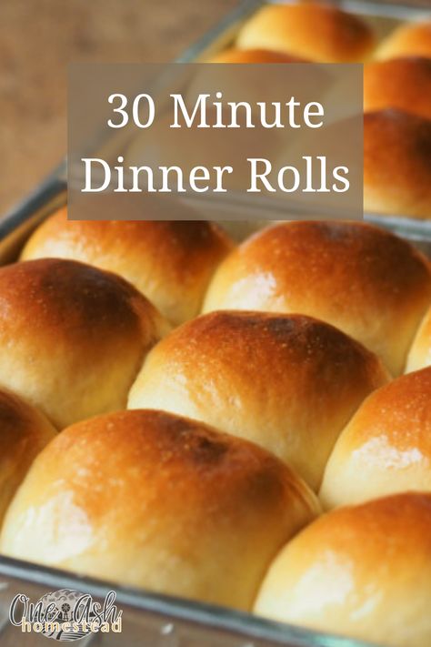 Quick and Easy Dinner Rolls - One Ash Homestead One Hour Dinner Rolls Simple, Quick Dinner Rolls Using Mayonnaise, Betty Crocker Quick Sour Cream Dinner Rolls, Homemade Buns Easy Simple, Fast And Easy Dinner Rolls, 30 Mins Dinner Recipes, Fast Dinner Rolls Easy, No Rise Dinner Rolls, Yeast Rolls Recipe Homemade Easy