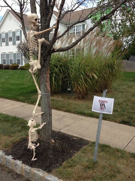 Skeletons Front Lawn, Halloween Themed Front Yard, Halloween Decorations Driveway, Halloween Front Lawn Ideas, Front Lawn Halloween Decorations, Skeleton Yard Ideas, Awesome Outdoor Halloween Decorations, Halloween Outdoors, Skeleton Poses