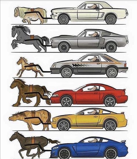 Kereta Sport, Shelby Gt 500, Car Memes, Mustang Cars, Mustang Shelby, Car Drawings, Koenigsegg, Ford Mustang Gt, American Muscle Cars